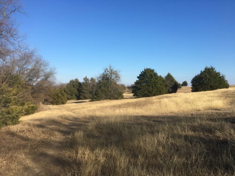 Erwin Park DIYO 2023 North Texas Orienteering Association